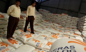 Jelang Ramadhan, Bulog Pasok 200 Ton Jagung