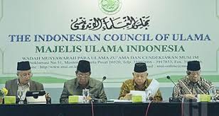 Hendardi: Fatwa MUI Bukan untuk Menyesatkan Persatuan Bangsa