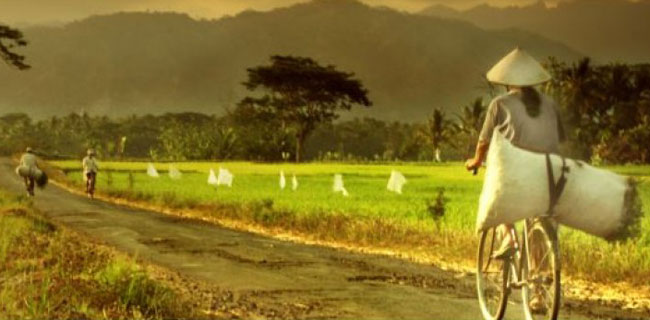 Transfer Daerah dan Dana Desa Belum Mampu Turunkan Kemiskinan