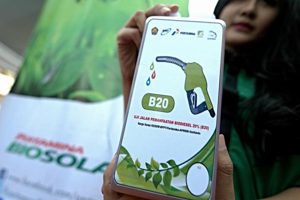 Soal Biodiesel, Indonesia Pertimbangkan Balas Aksi AS