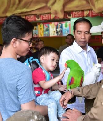 Libur Pekan, Jokowi Kenalkan Cucu Berbagai Spesies Burung