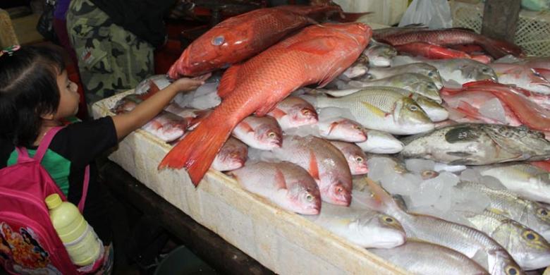 Nelayan Tuban Tak Melaut, Bojonegoro Kekurangan Ikan Nelayan Tuban Tak Melaut, Bojonegoro Kekurangan Ikan
