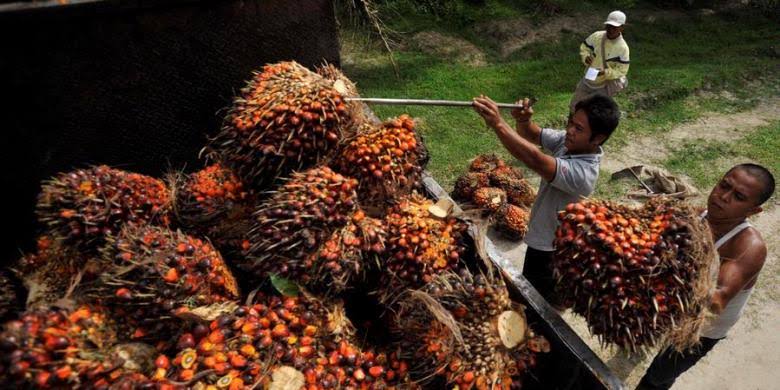 Kegiatan investasi Tak Terpengaruh Demontrasi Kegiatan investasi Tak Terpengaruh Demontrasi