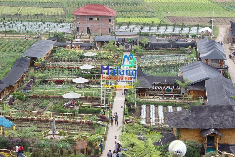 Industrik Pariwisata Disuntik Dana Desa, PADes Pujon Kidul Naik Rp1,3 Miliar Industrik Pariwisata Disuntik Dana Desa, PADes Pujon Kidul Naik Rp1,3 Miliar
