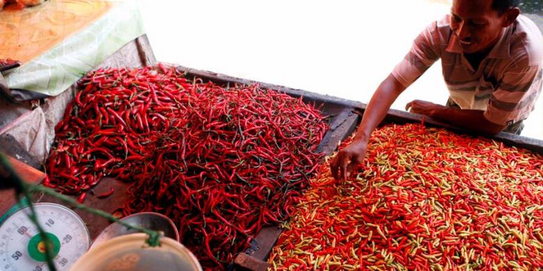 Inflasi 0,55 Persen, BPS Ungkap Kontribusi Cabai Merah Inflasi 0,55 Persen, BPS Ungkap Kontribusi Cabai Merah