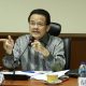 Target 2024 Pemindahan Ibu Kota Negara Dinilai Prematur