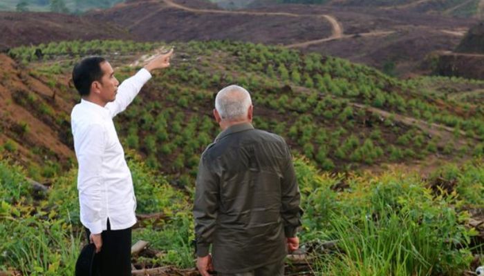 Presiden Jokowi Sebut Ibu Kota Baru Dekat dengan Alam