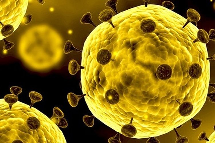 Tiga Negara Asia Positif Virus Corona Tiga Negara Asia Positif Virus Corona