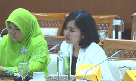 Kinerja Elektrifikasi Turun, Percha: Apa Sih Kendala PLN?