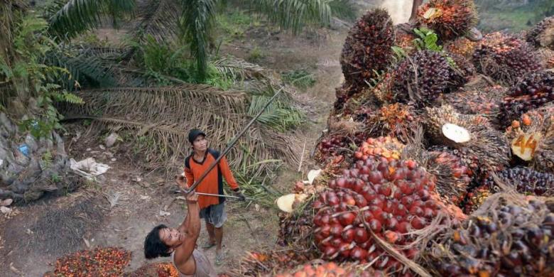 Industri Sawit Sumbang Devisa US$3,5 Miliar Industri Sawit Sumbang Devisa US$3,5 Miliar
