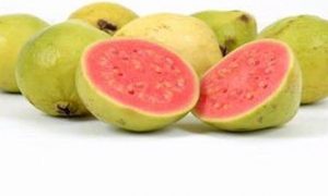 Benarkah Jambu Biji Bisa Sembuhkan Corona?