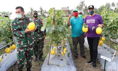 Dampak Pandemi Covid-19, Pangdam Jaya-Bupati Tangerang Sinergi Ketahanan Pangan Lewat Pertanian Melon