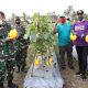 Dampak Pandemi Covid-19, Pangdam Jaya-Bupati Tangerang Sinergi Ketahanan Pangan Lewat Pertanian Melon Dampak Pandemi Covid-19, Pangdam Jaya-Bupati Tangerang Sinergi Ketahanan Pangan Lewat Pertanian Melon