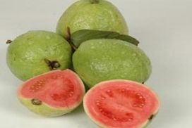 LIPI Olah Jambu Biji Jadi Minuman Peningkat Imun Tubuh