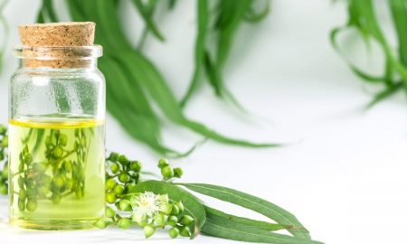 Kandungan Eucalyptol Dalam GoFress Jadi Anti Virus