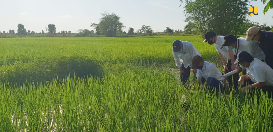 Latih Penjualan Daring, BNI Gaet Petani UMKM Lewat "Smart Farming" Latih Penjualan Daring, BNI Gaet Petani UMKM Lewat "Smart Farming"