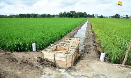 Tersedia Rp11,3 Triliun, Padat Karya PUPR Baru Serap Rp3,61 triliun.