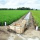 Tersedia Rp11,3 Triliun, Padat Karya PUPR Baru Serap Rp3,61 triliun.