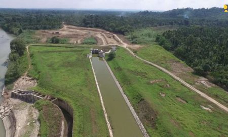 Food Estate Kalteng Jadi Lumbung Pangan Strategis