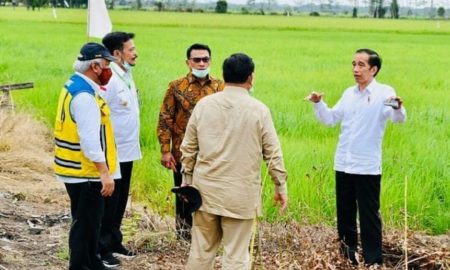 Jokowi Siapkan Lumbung Pangan dan Pelabuhan Terbesar di Kalimantan