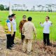 Jokowi Siapkan Lumbung Pangan dan Pelabuhan Terbesar di Kalimantan