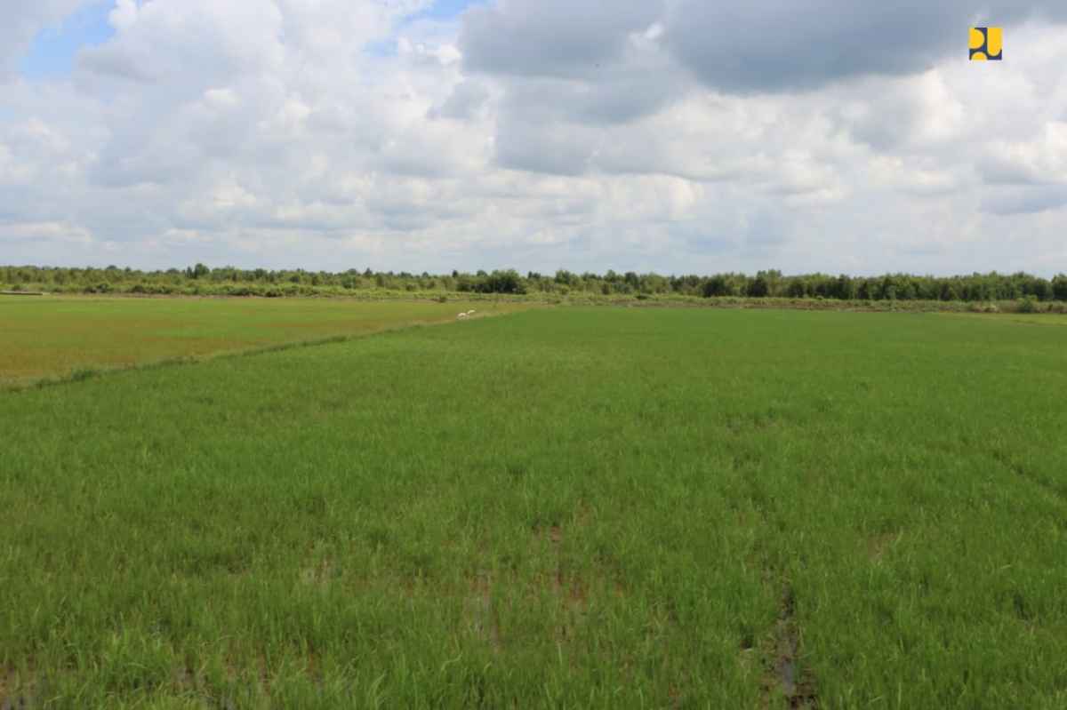 Genjot Produksi, Petani Harus Didorong Gunakan Pupuk Organik
