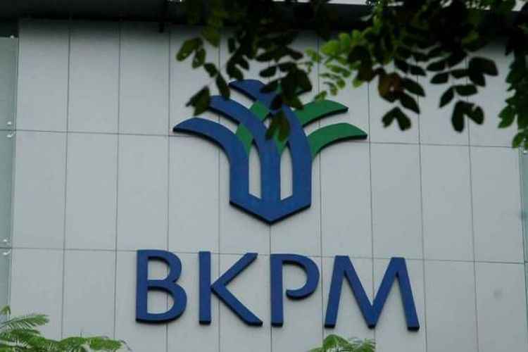 Tinggi, Minat Investor Dari Negeri Ginseng Masuk Indonesia