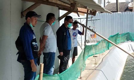 Komite II DPD RI Tinjau Tambak Udang Vaname Cilacap