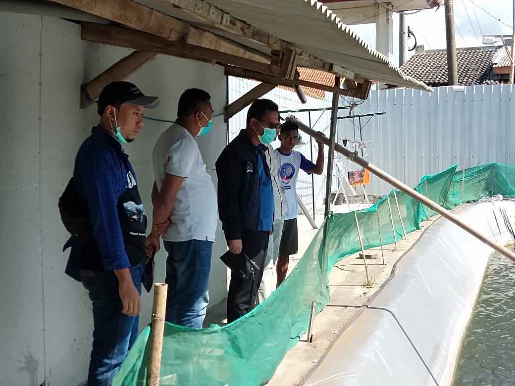 Komite II DPD RI Tinjau Tambak Udang Vaname Cilacap