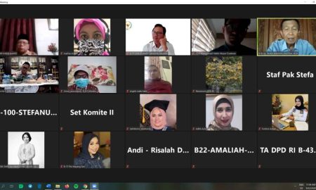 Komite II DPD RI – CSIS Bahas Materi RUU Penanggulangan Bencana
