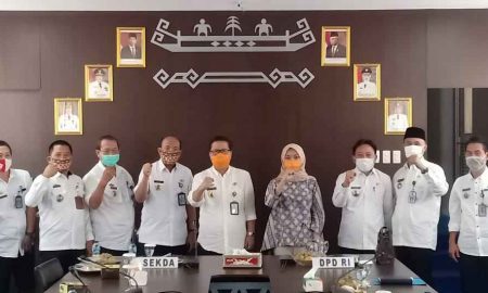 3.500 Dokter Magang, Senator Lampung Sayangkan Pernyataan Menkes Terawan