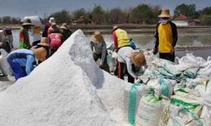 Disetujui, Swasta Bisa Impor Langsung Garam Industri