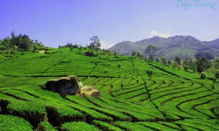 MPR Minta Pemerintah Selektif Kucurkan Dana Hibah Pariwisata Rp3,3 Triliun
