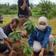 Gelora Tanam Satu Juta Pohon di Desa Bagoang, Bogor