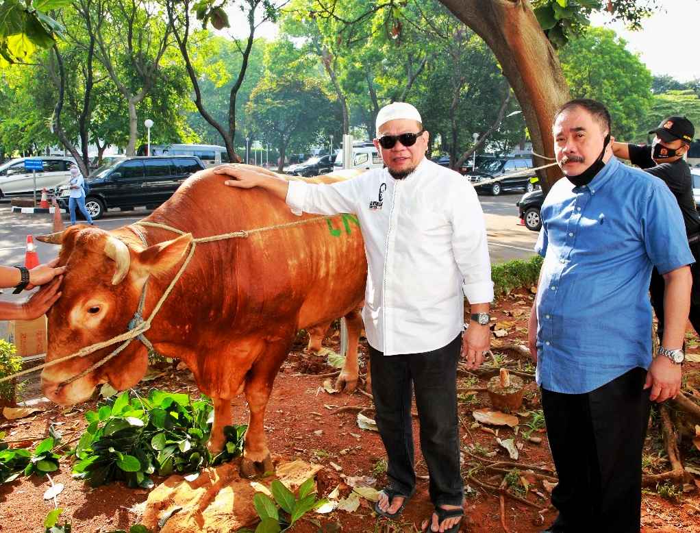 LaNyalla Minta Pemerintah Serius Tanggapi Potensi Lonjakan Harga Sapi Potong LaNyalla Minta Pemerintah Serius Tanggapi Potensi Lonjakan Harga Sapi Potong