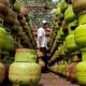 Subsidi LPG Capai Rp54, Kok Masih Ada Rakyat Masak Pakai Kayu Bakar?