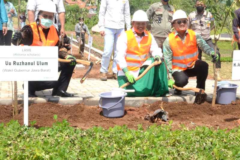 BTN Dukung Pembangunan Hutan Kota BTN Dukung Pembangunan Hutan Kota