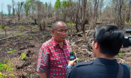 DPR Ingatkan Aparat Harus Berani Tangkap Pembakar Hutan