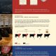 Wagyu Halal Dari Jepang Wagyu Halal Dari Jepang