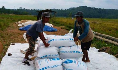 Juli-Desember 2021, INDEF Prediksi Harga Beras Naik Paska Lebaran