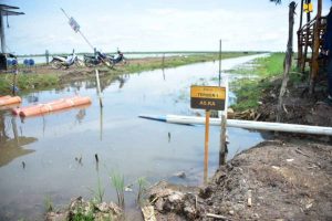 Tata Kelola Air Jadi Kunci Keberhasilan Food Estate Kalteng Tata Kelola Air Jadi Kunci Keberhasilan Food Estate Kalteng