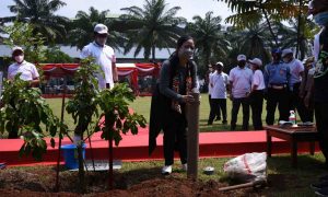 Hari Bumi, Puan Maharani Tanam 89 Pohon Langka di DPR