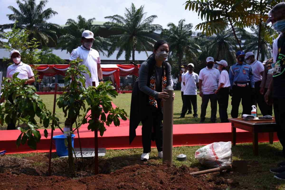 Hari Bumi, Puan Maharani Tanam 89 Pohon Langka di DPR Hari Bumi, Puan Maharani Tanam 89 Pohon Langka di DPR