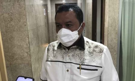 KEK Sei Mangkei Jalan Ditempat, Lamhot: Harga Gas Tak Kompetitif