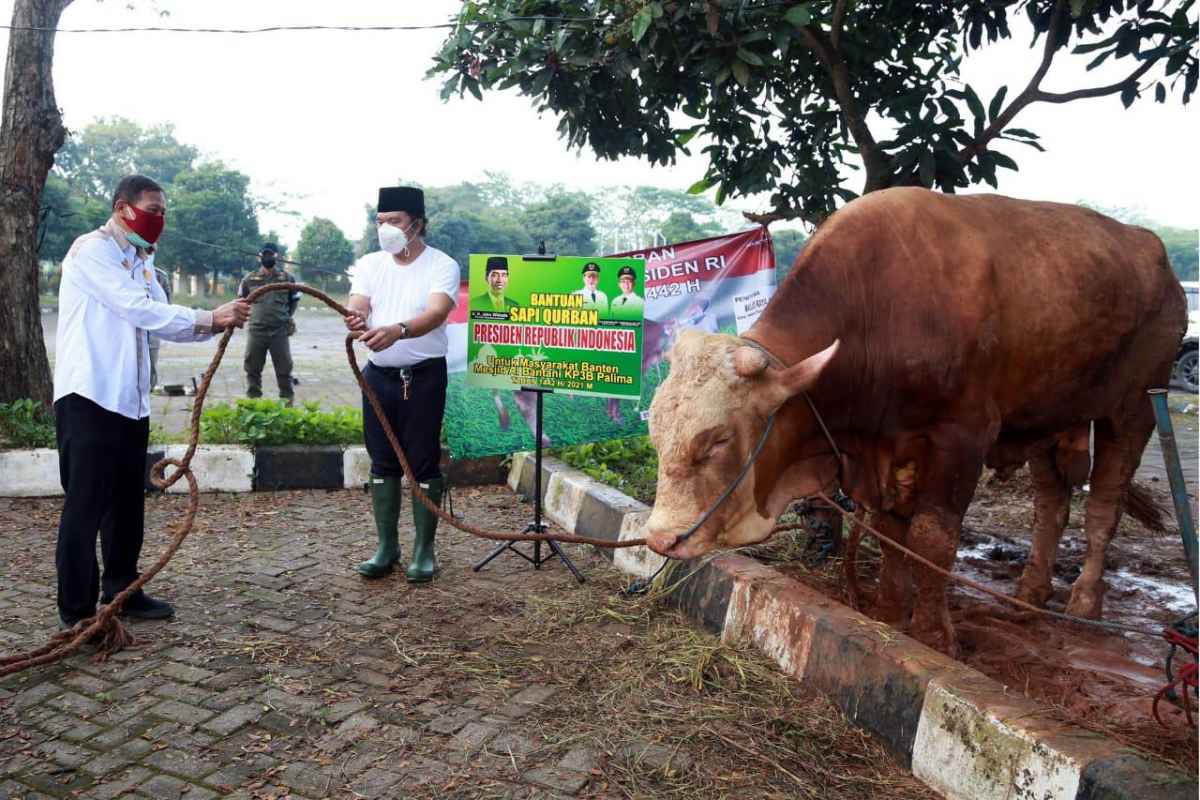 Agar Distribusi Merata, Al-Muktabar: Enam Wilayah Jadi Sentra Pemotongan Hewan Kurban