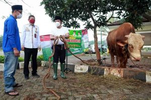 Agar Distribusi Merata, Al-Muktabar: Enam Wilayah Jadi Sentra Pemotongan Hewan Kurban