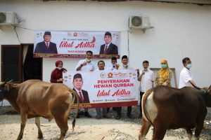 Rayakan Idul Adha 1442, Ali Zamroni Bantu Enam Ekor Sapi Untuk Ponpes di Pandeglang-Lebak