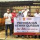 Rayakan Idul Adha 1442, Ali Zamroni Bantu Enam Ekor Sapi Untuk Ponpes di Pandeglang-Lebak