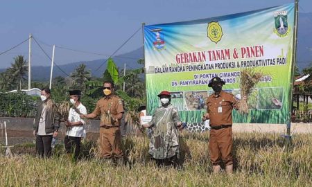 Genjot Produksi Beras, Banten Perluas Tanam Padi Hingga 37.000 Ha