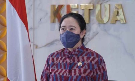 Puan Dukung Tes Antigen Bebas PNBP Agar Harga Lebih Murah